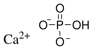 DCP Dicalcium Phosphate