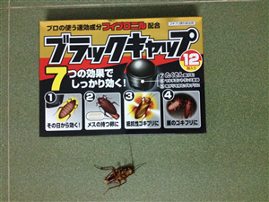 Boric Acid is the Best Roach Killer