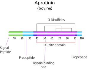 Aprotinin from bovine lung