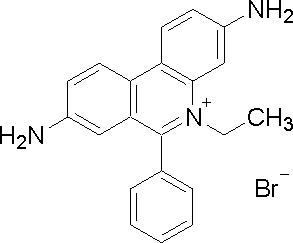 Ethidium bromide(EB)